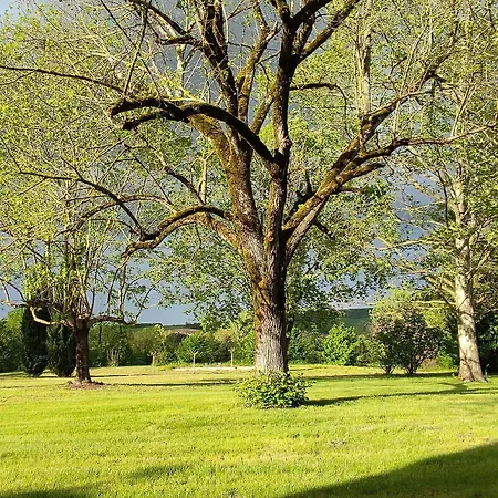 Domaine Les Garrigues Bed & Breakfast